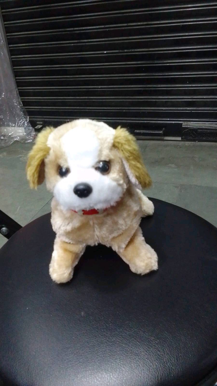 Product picture